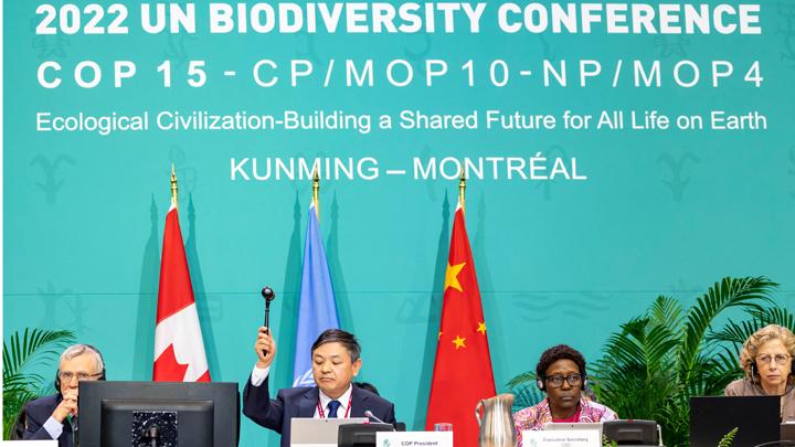 Sebagai ketua konferensi Tiongkok telah memfasilitasi pengadopsian Kerangka Kerja Keanekaragaman Hayati Global Kunming-Montreal