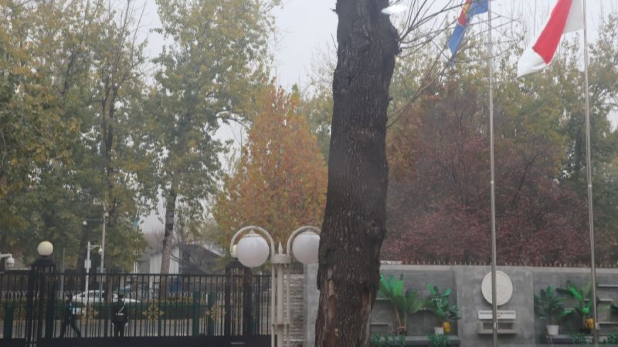 Kedutaan Besar RI di Beijing mengubah jam kerja para staf di tengah peningkatan kasus positif COVID-19 di ibu kota Tiongkok itu dalam beberapa hari terakhir