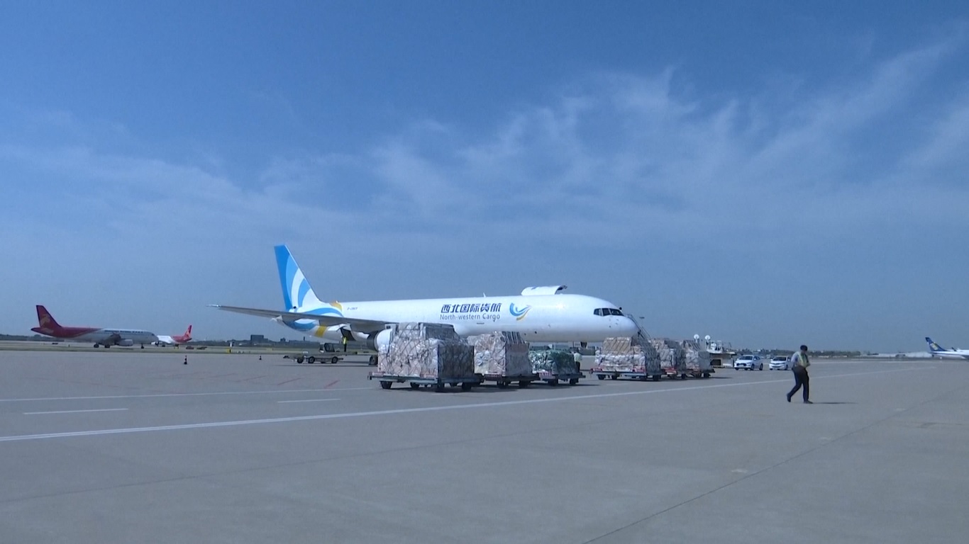 Rute internasional dioperasikan oleh 62 maskapai penerbangan