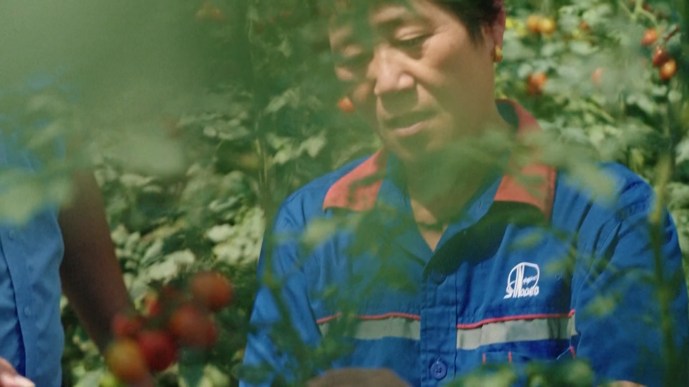 Kota Shouguang telah menjadi model transformasi pertanian