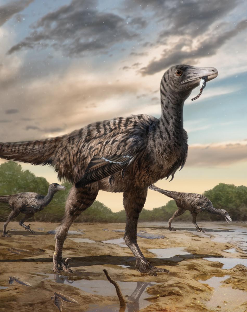Ilmuwan Tiongkok dan asing di provinsi Fujian telah menemukan jejak dinosaurus besar yang mereka katakan sebagai jejak Deinonychosaurus terbesar yang pernah ditemukan