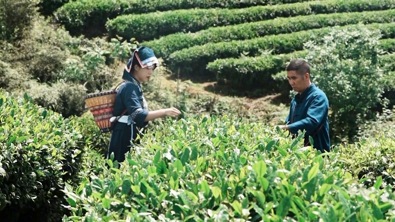 Dengan 33 kelompok etnis yang menjadikan Duyun sebagai rumah