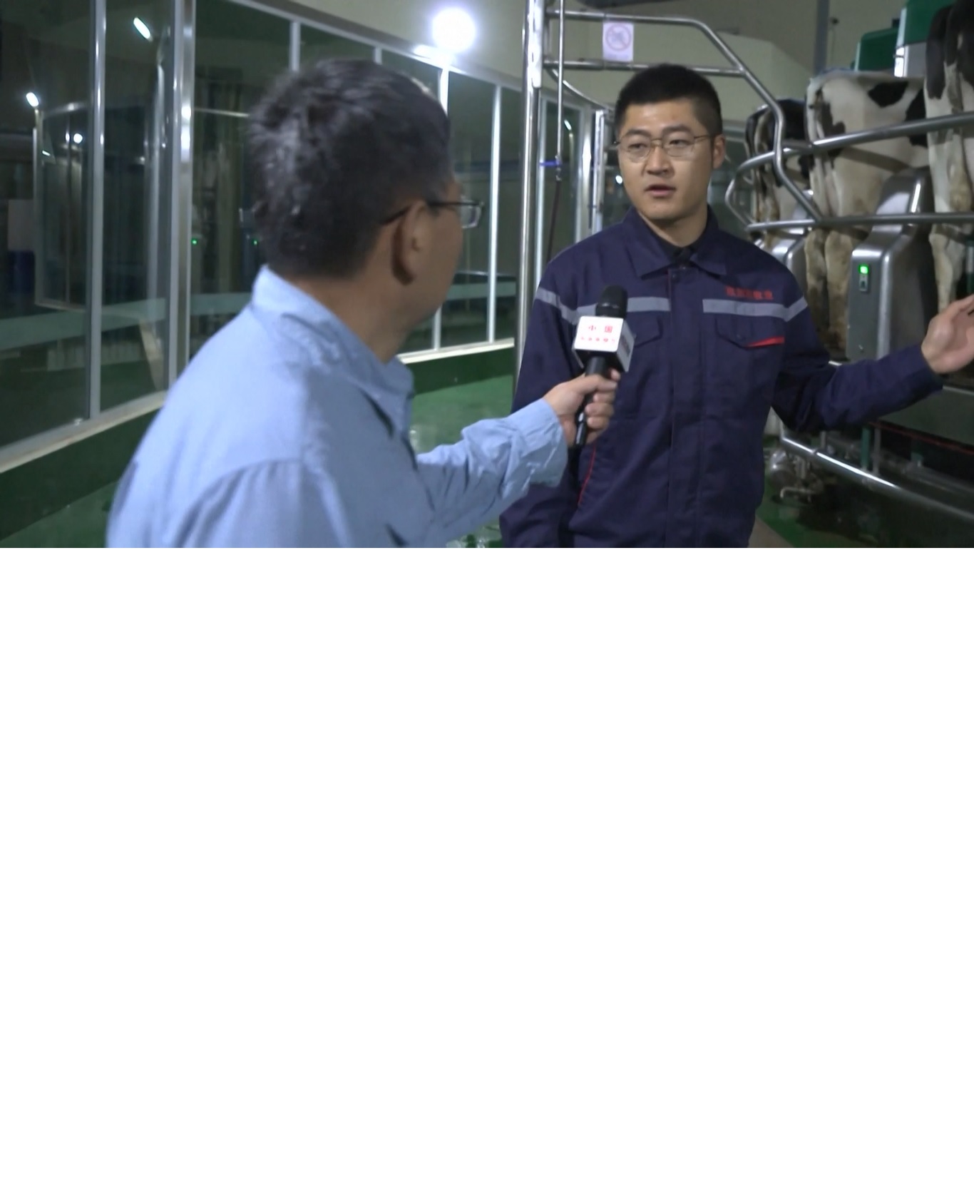 Sistem pintar ini dapat memerah susu 32 ekor sapi dalam waktu enam menit saja