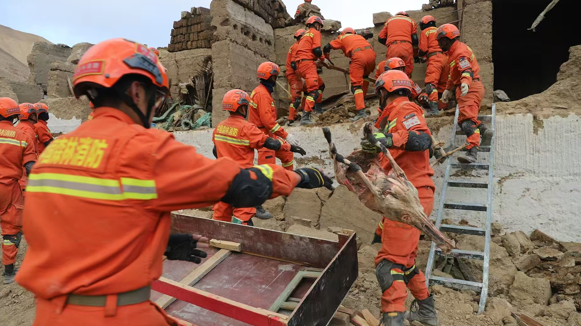 Masyarakat dari Taiwan menyampaikan kepedulian dan belasungkawa mereka terhadap masyarakat yang terkena dampak gempa yang menunjukkan ikatan erat antara rekan senegara di kedua sisi Selat Taiwan