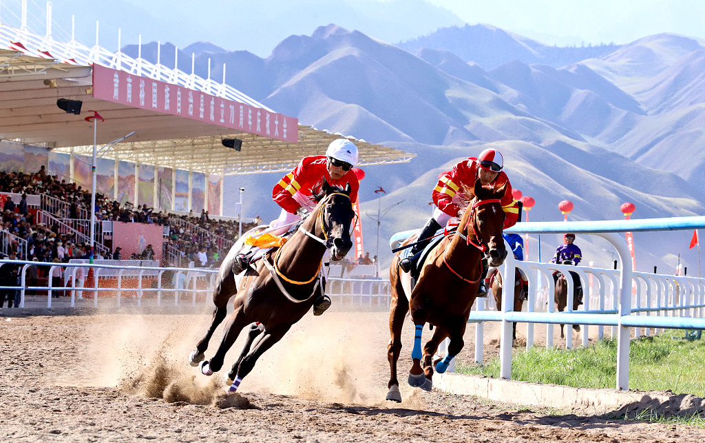 Kuda-kuda yang berpacu di lintasan membuat kerumunan penonton bersorak dan berteriak tanpa henti Persaingan yang ketat memberikan pesta visual yang memukau bagi puluhan ribu penonton