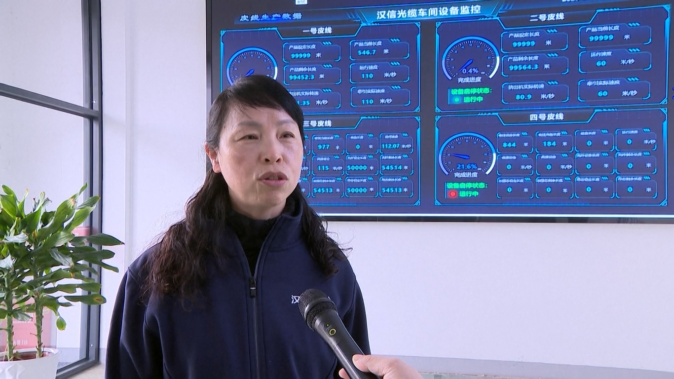 Dalam beberapa tahun terakhir