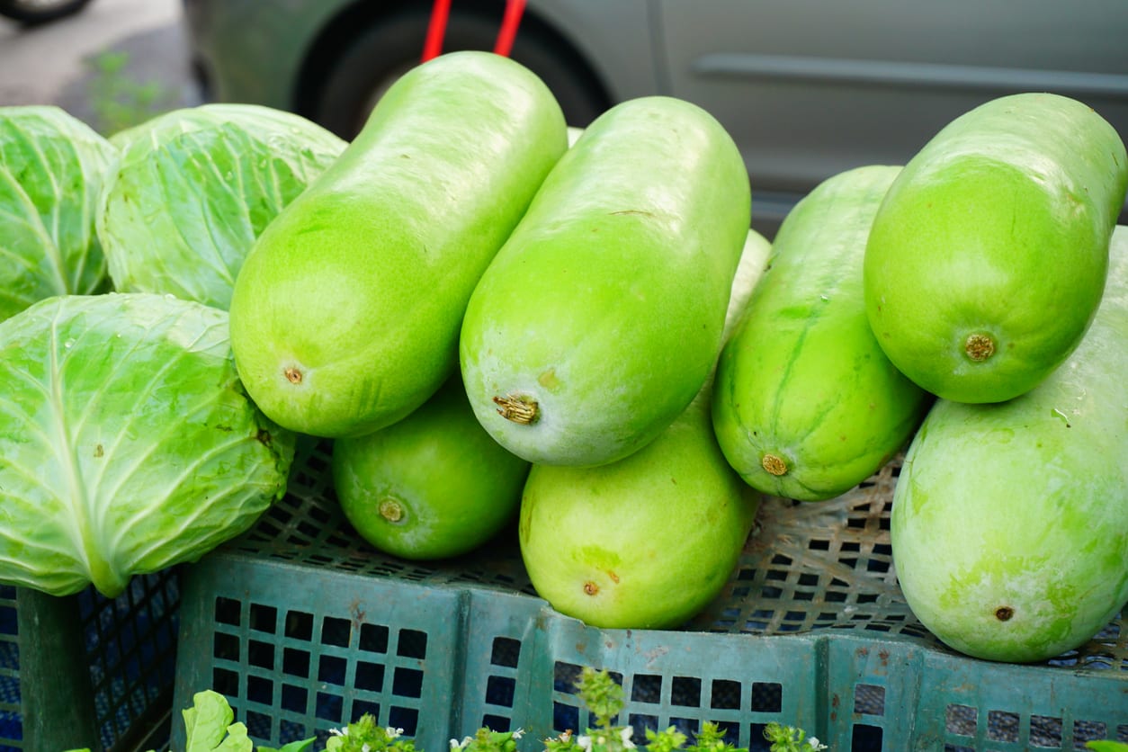 Buah Kundur (winter melon) merupakan buah tropis yang mengandung banyak vitamin dan mineral yang efektif meningkatkan kesehatan tubuh