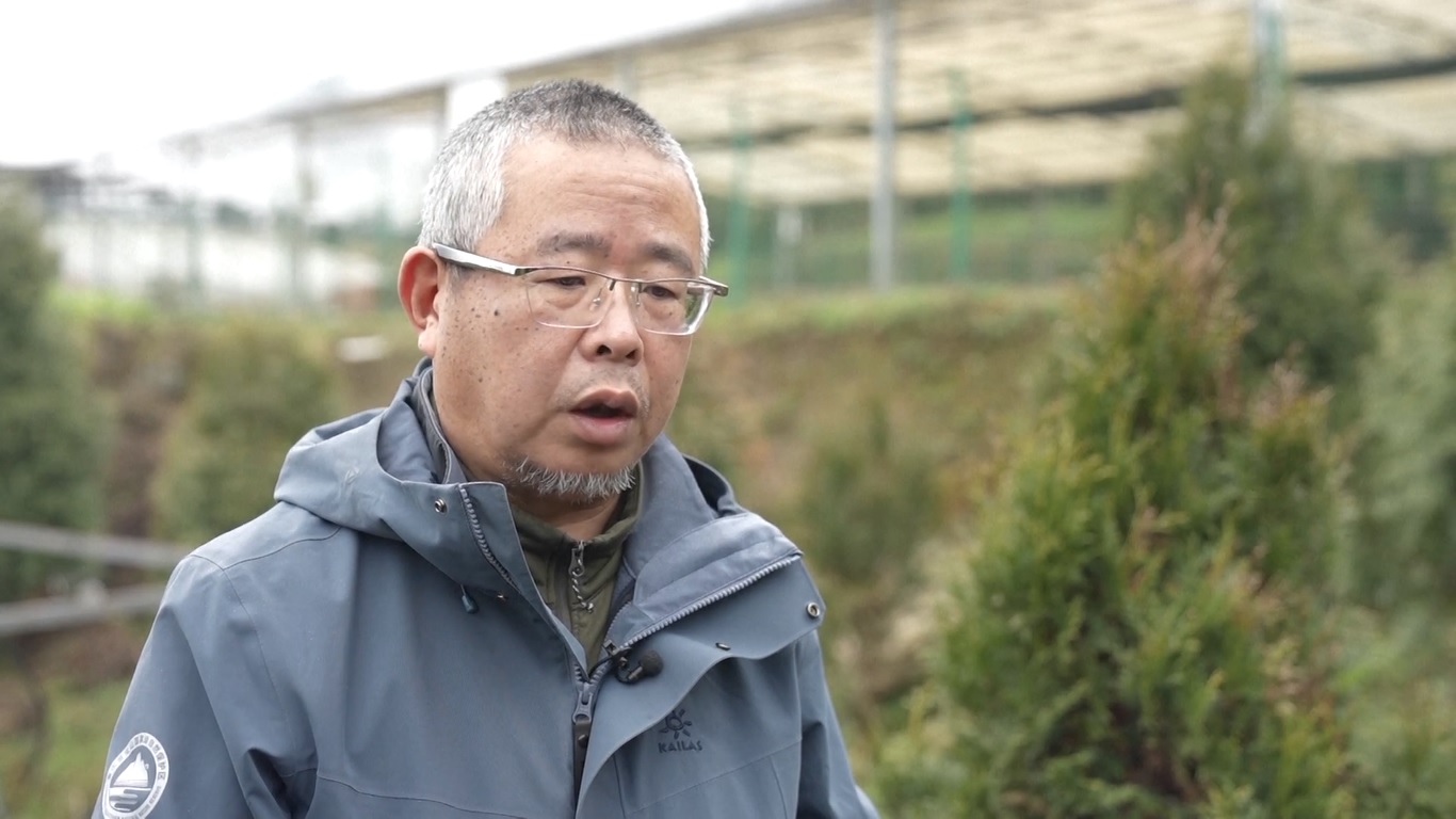 Para pelestari lingkungan kini tengah memastikan kelangsungan hidup spesies flora yang terancam punah itu dan mencari cara untuk memaksimalkan manfaat ekologisnya