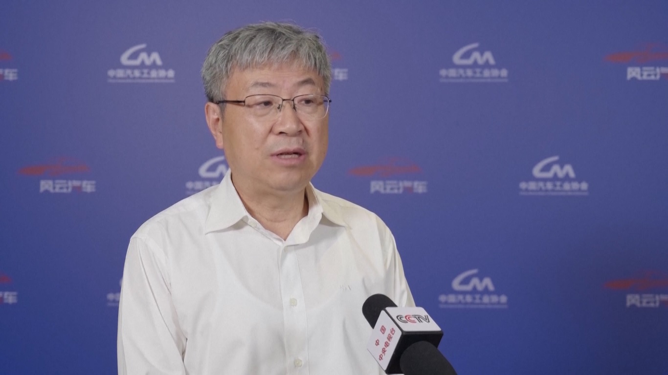 Para ahli mengatakan bahwa pembangunan merek dan perluasan pengaruh internasional merupakan strategi penting untuk merangsang ekspor NEV